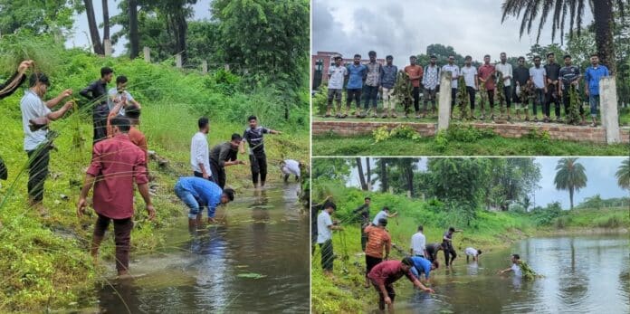 কুড়িগ্রামে ছাত্রদলের উদ্যোগে শাপলা চারা রোপণ কর্মসূচি অনুষ্ঠিত।