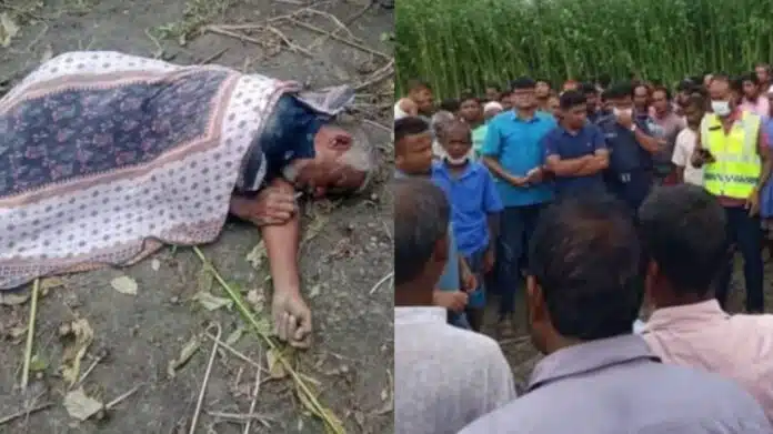 দিনাজপুরের খানসামা উপজেলায় পাটক্ষেত থেকে মৃতদেহ উদ্ধার!