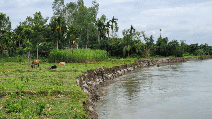 ধরলার আগ্রাসী ভাঙনে বিপর্যস্ত কুড়িগ্রাম।